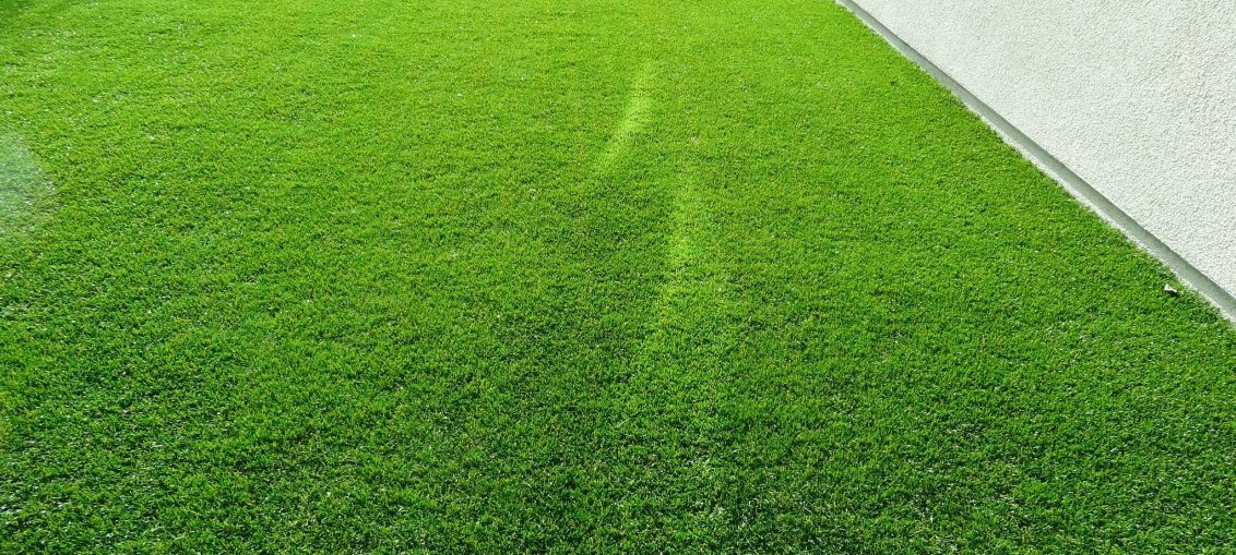 Artificial-Grass